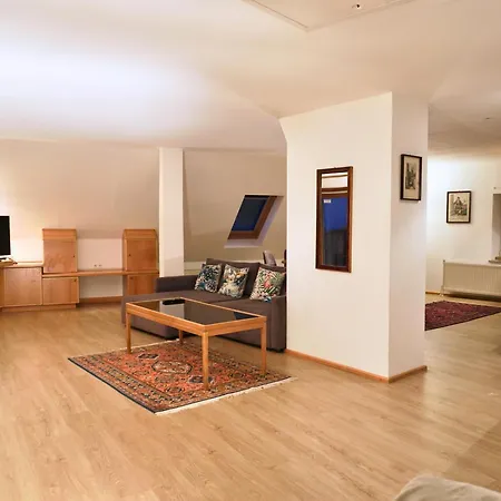 Apartment Altstadt Loft Gmunden DG mit Balkon und Seeblick *