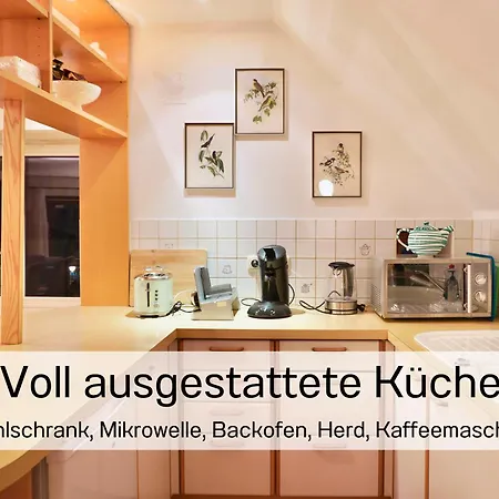 Altstadt Maisonette Dg Mit Balkon Und Seeblick Gmunden
