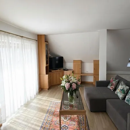 Altstadt Loft Dg Mit Balkon Und Seeblick Gmunden