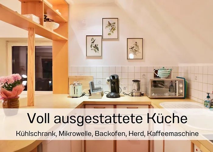 Altstadt Maisonette Dg Mit Balkon Und Seeblick グムンデン