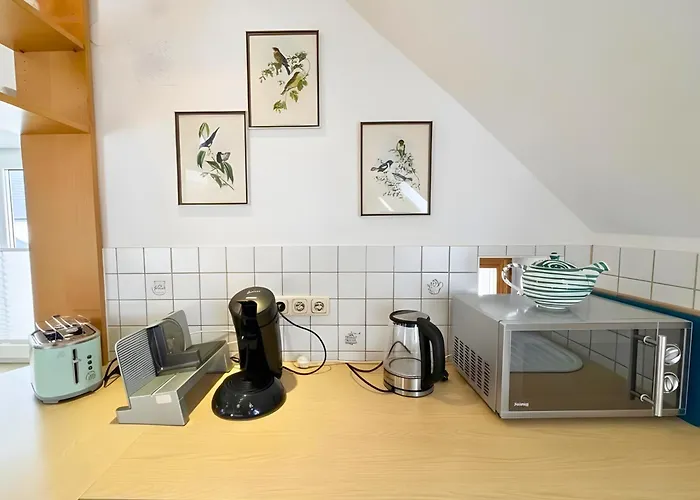 Altstadt Maisonette Dg Mit Balkon Und Seeblick アパート グムンデン