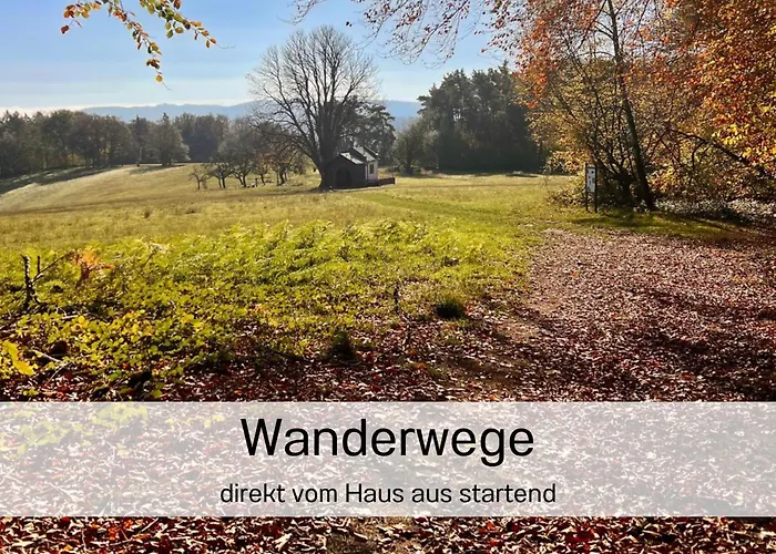 Altstadt Maisonette Dg Mit Balkon Und Seeblick グムンデン